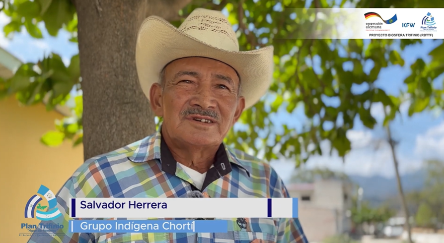 Insumos por conservación de bosque en Honduras