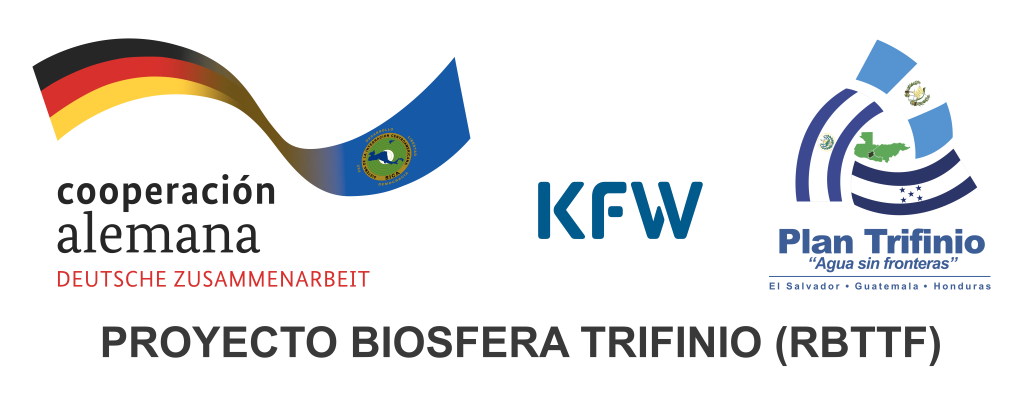 Aviso de Licitación N° LPN-O-PRBTTF – 01/2026